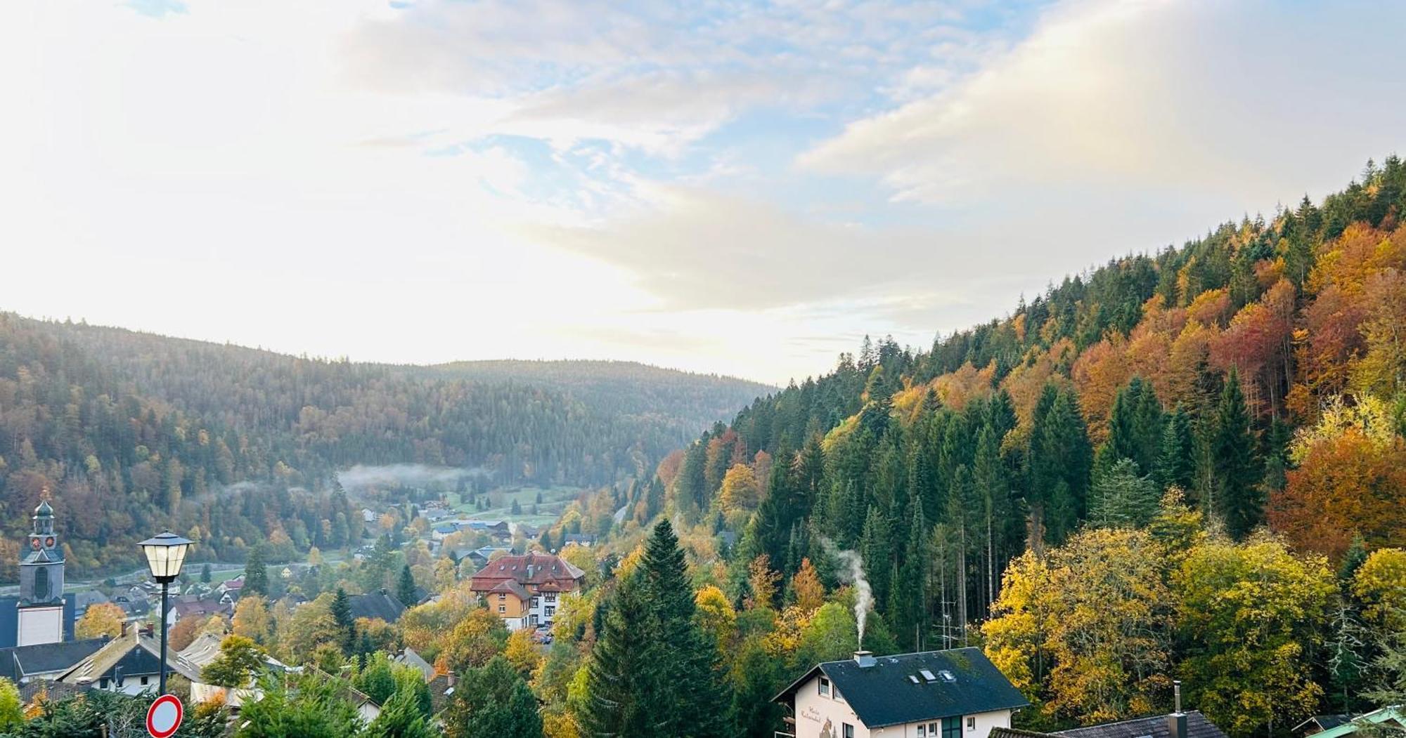 Ferienwohnung Panoramablick - Super Fuer Deine Familie Und Die Besten Aussicht In Ganz Todtmoos Exterior photo