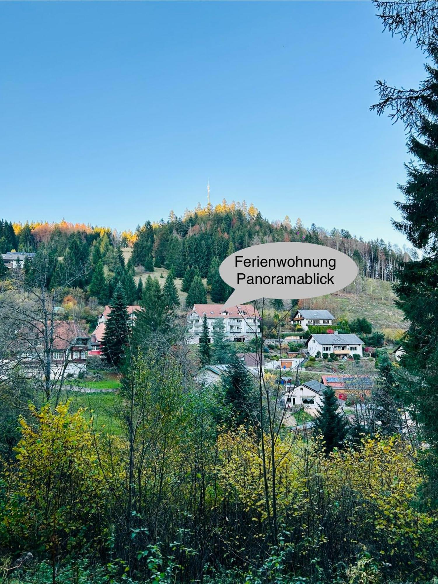 Ferienwohnung Panoramablick - Super Fuer Deine Familie Und Die Besten Aussicht In Ganz Todtmoos Exterior photo