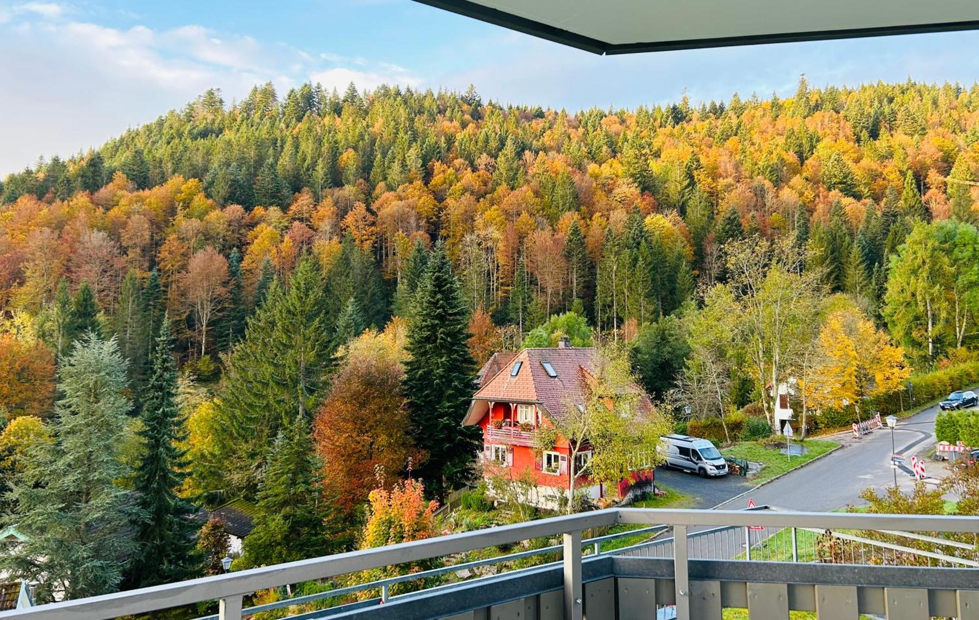 Ferienwohnung Panoramablick - Super Fuer Deine Familie Und Die Besten Aussicht In Ganz Todtmoos Exterior photo