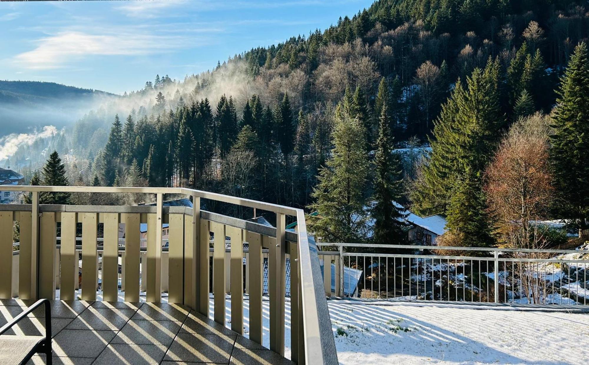 Ferienwohnung Panoramablick - Super Fuer Deine Familie Und Die Besten Aussicht In Ganz Todtmoos Exterior photo